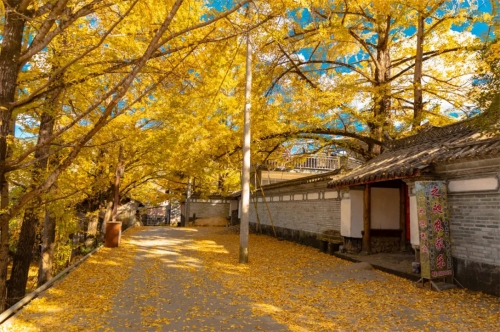 HÀ KHẨU – ĐẠI LÝ – ĐẰNG XUNG – CÔN MINH